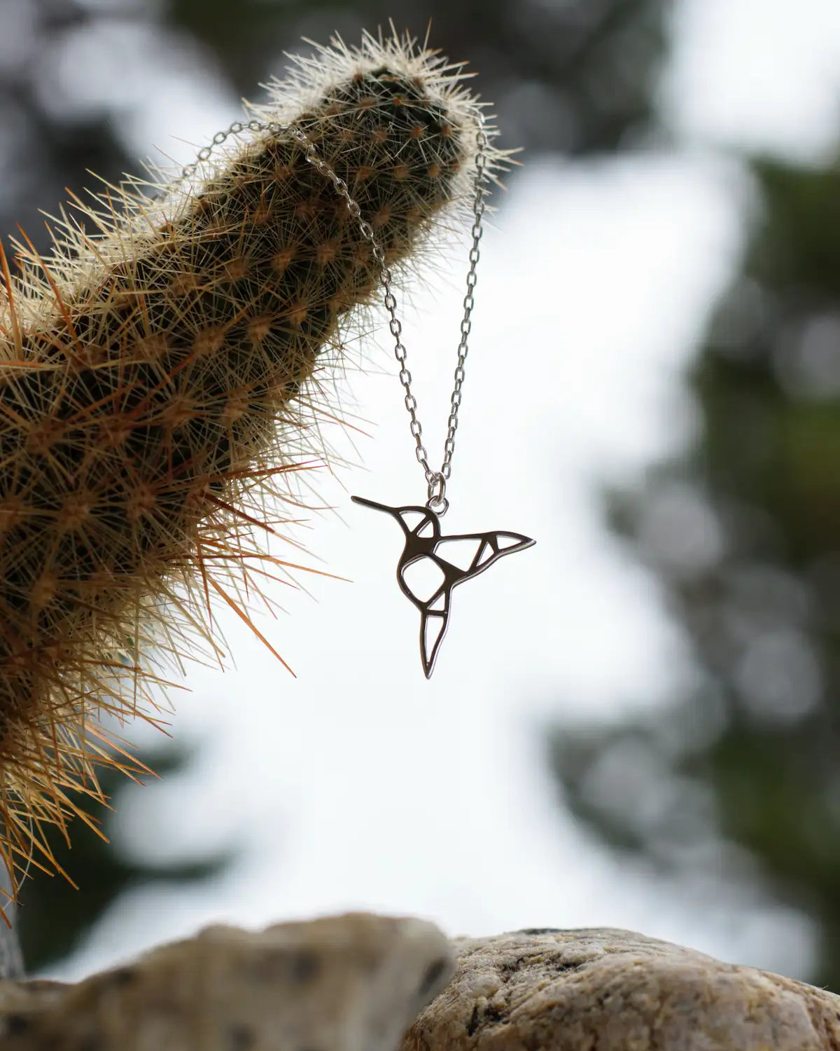 Collar plata 925 colgante colibrí