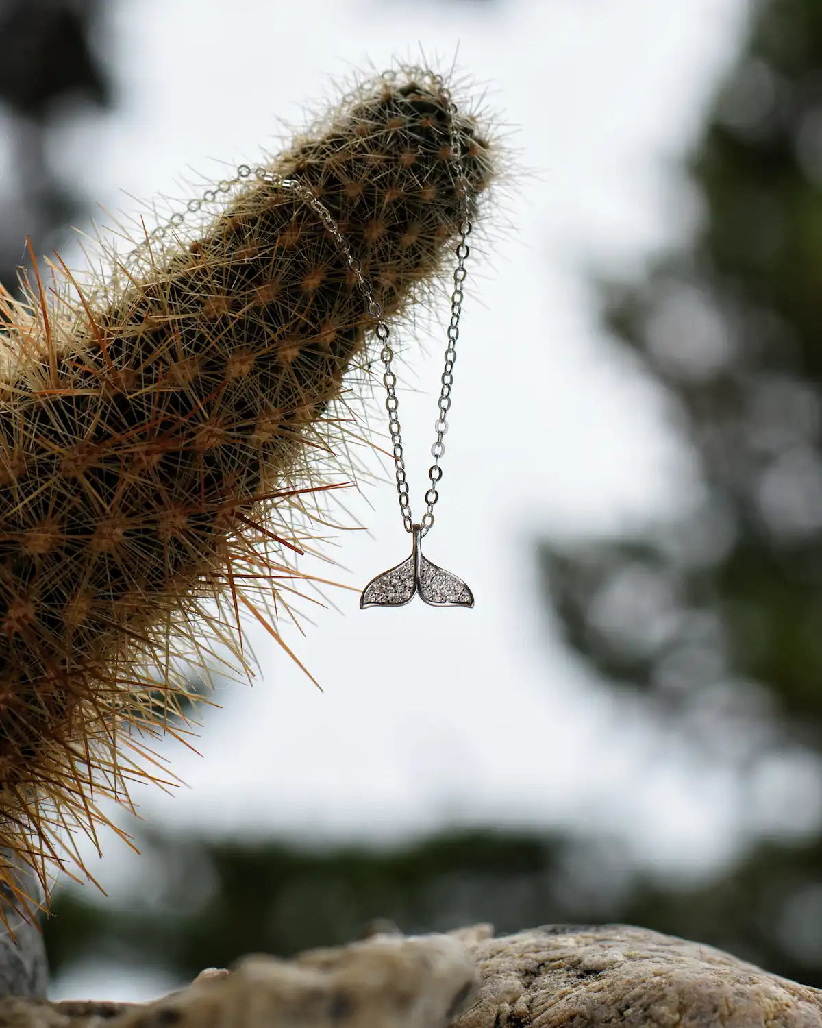 Collar plata 925 Ballena Thalassa para mujer en paisaje