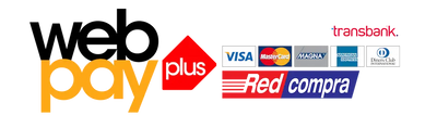 Pagos seguros con Webpay
